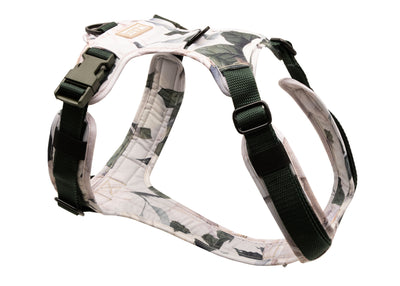 Hundegeschirr Magnolia