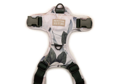 Hundegeschirr Magnolia