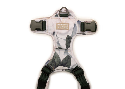 Hundegeschirr Magnolia