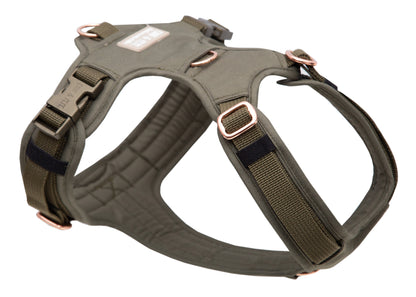 Hundegeschirr Lotte 2.0