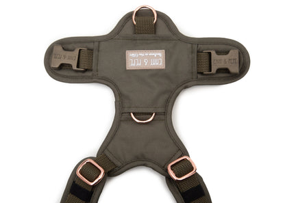 Hundegeschirr Lotte 2.0