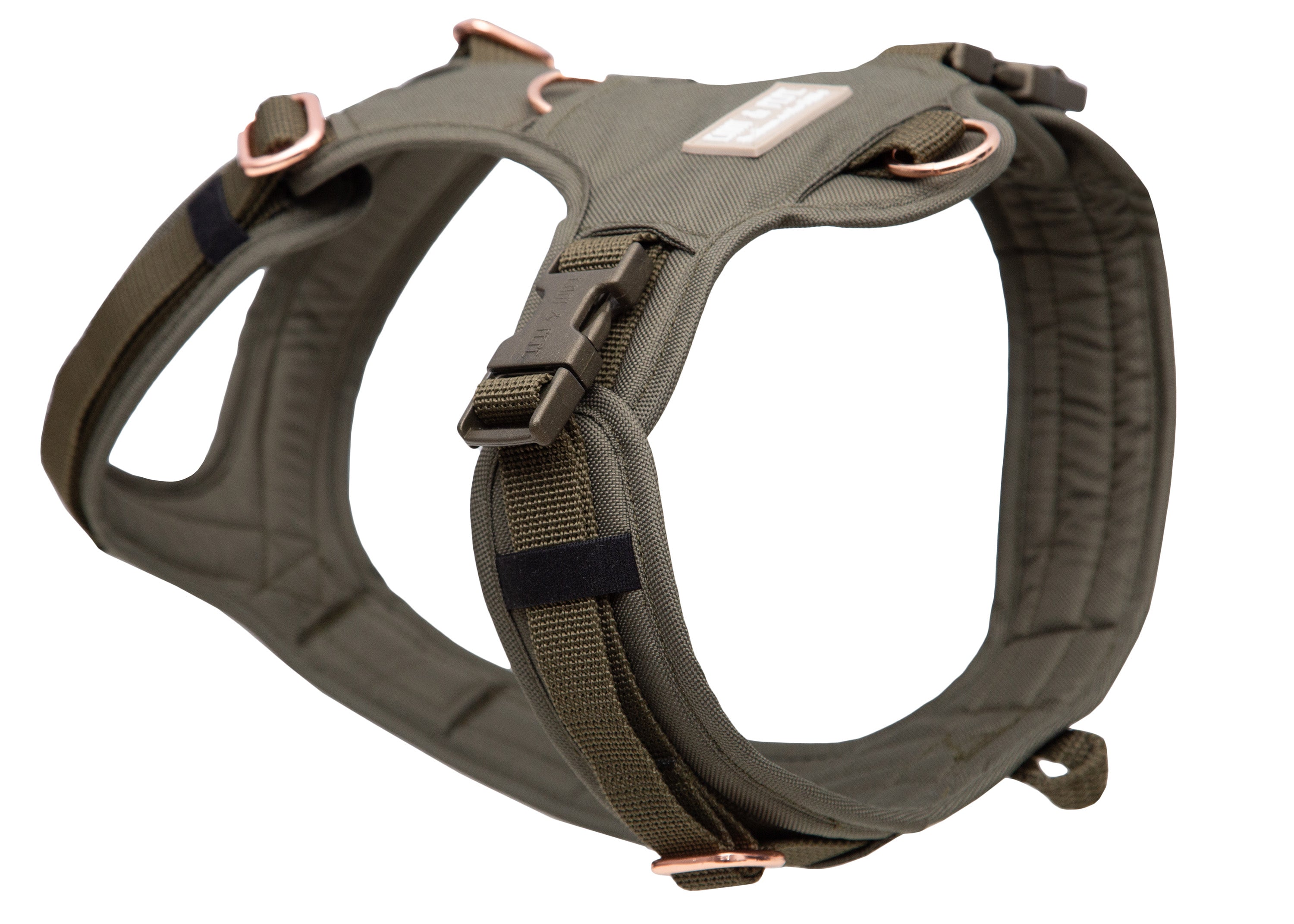 Hundegeschirr Lotte 2.0