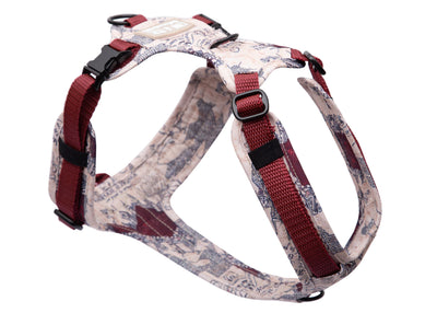 Hundegeschirr Karte der E&P