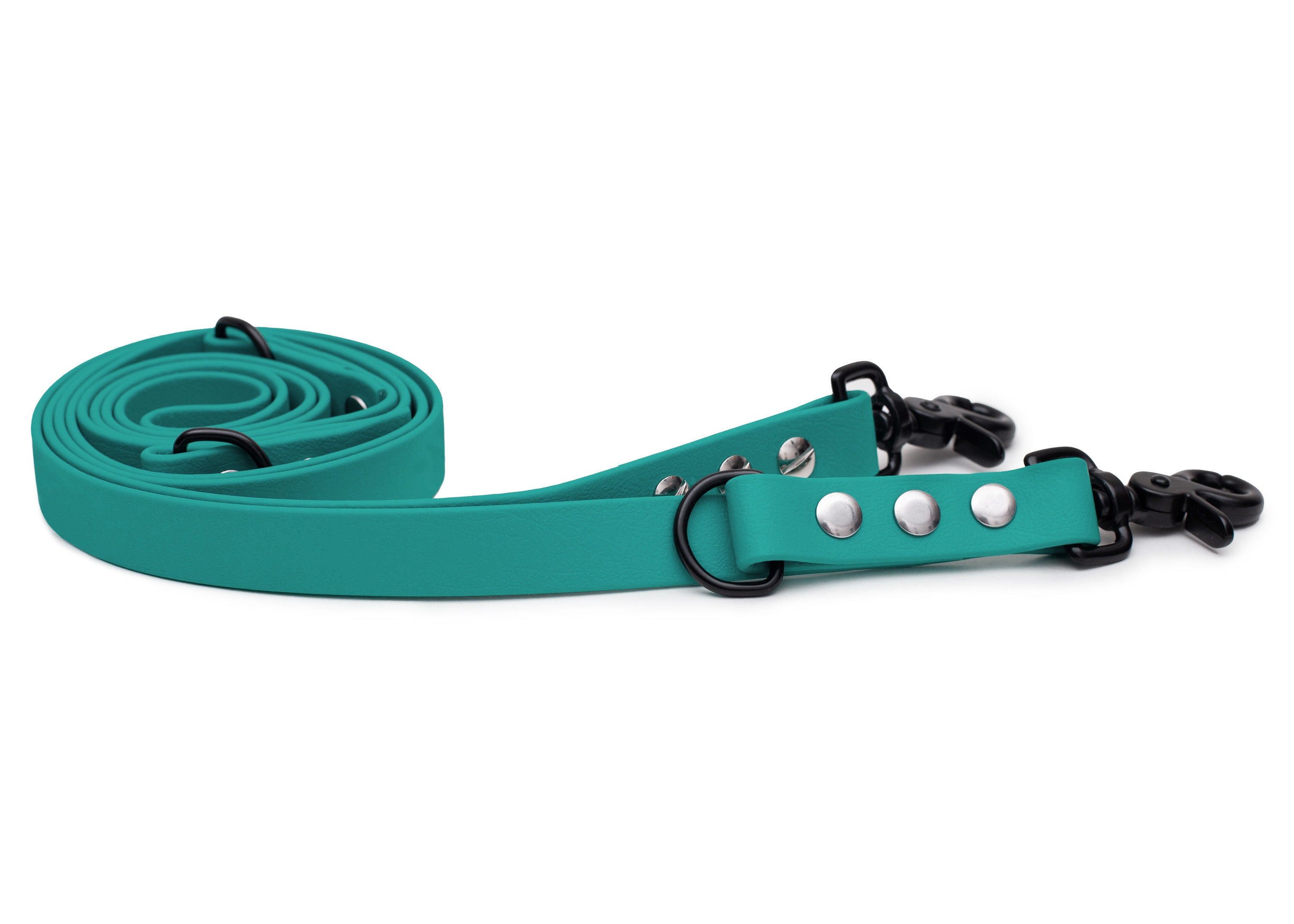 Biothane leash turquoise