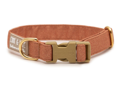 Hundehalsband Cinnamon