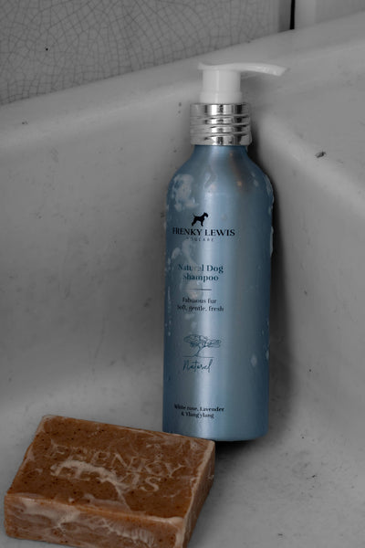 Natürliches Hundeshampoo - Weiße Rose & Lavendel