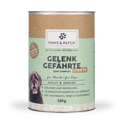 Gelenk Gefährten Forte für Adult & Senior