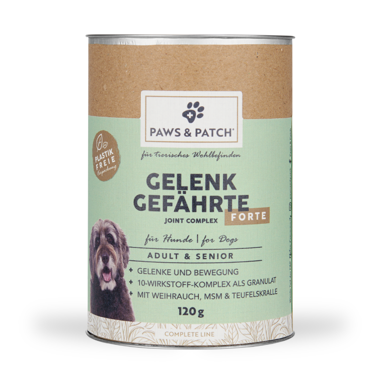 Gelenk Gefährten Forte für Adult & Senior