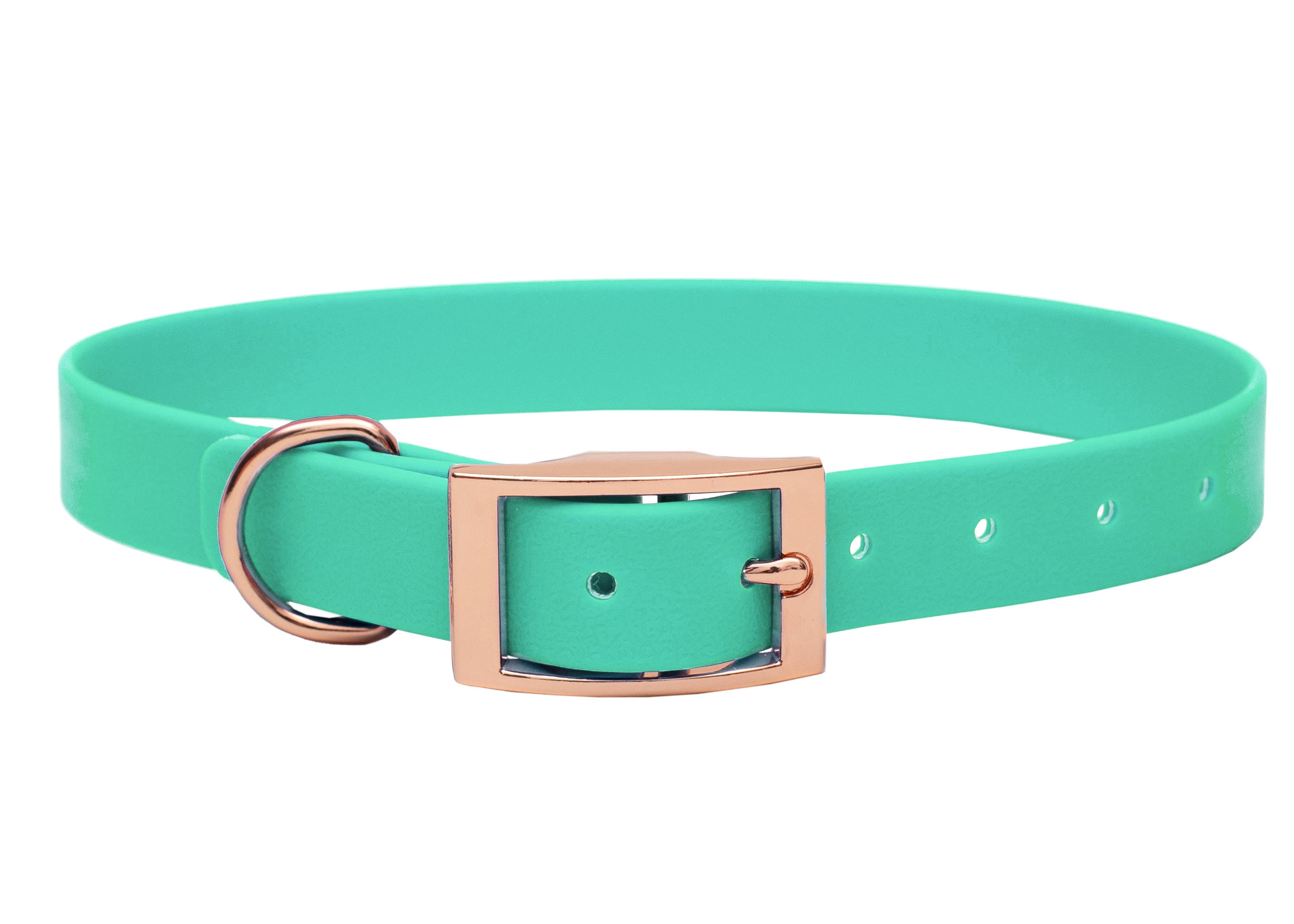Biothane Halsband Mint