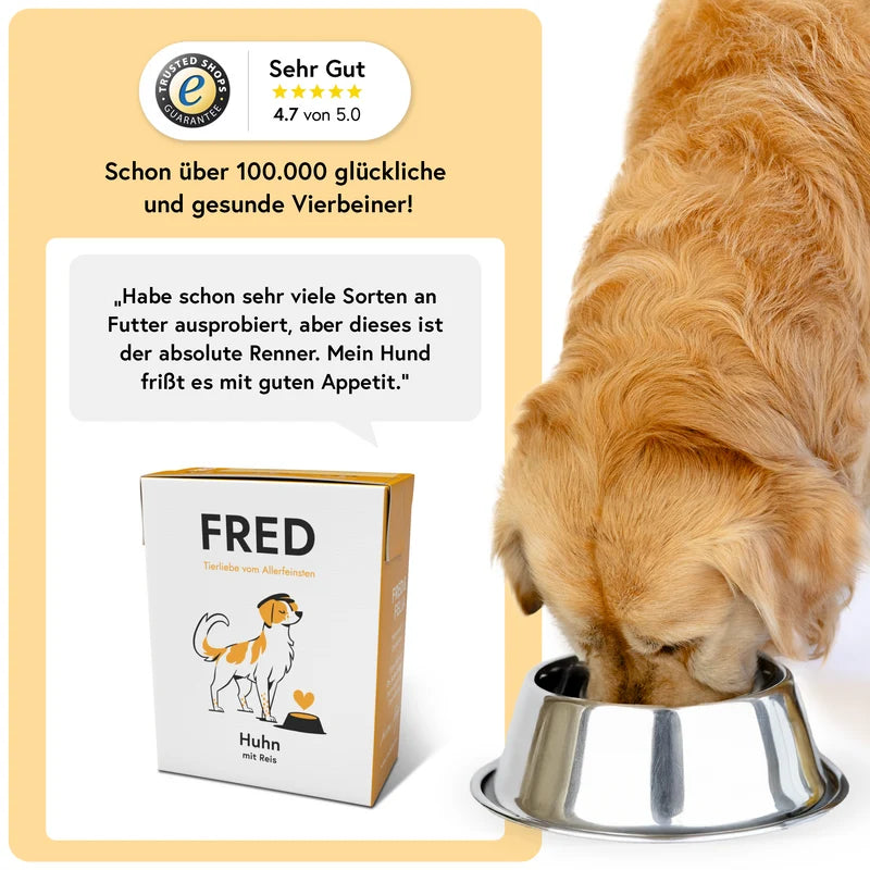 FRED Beef with Noodles