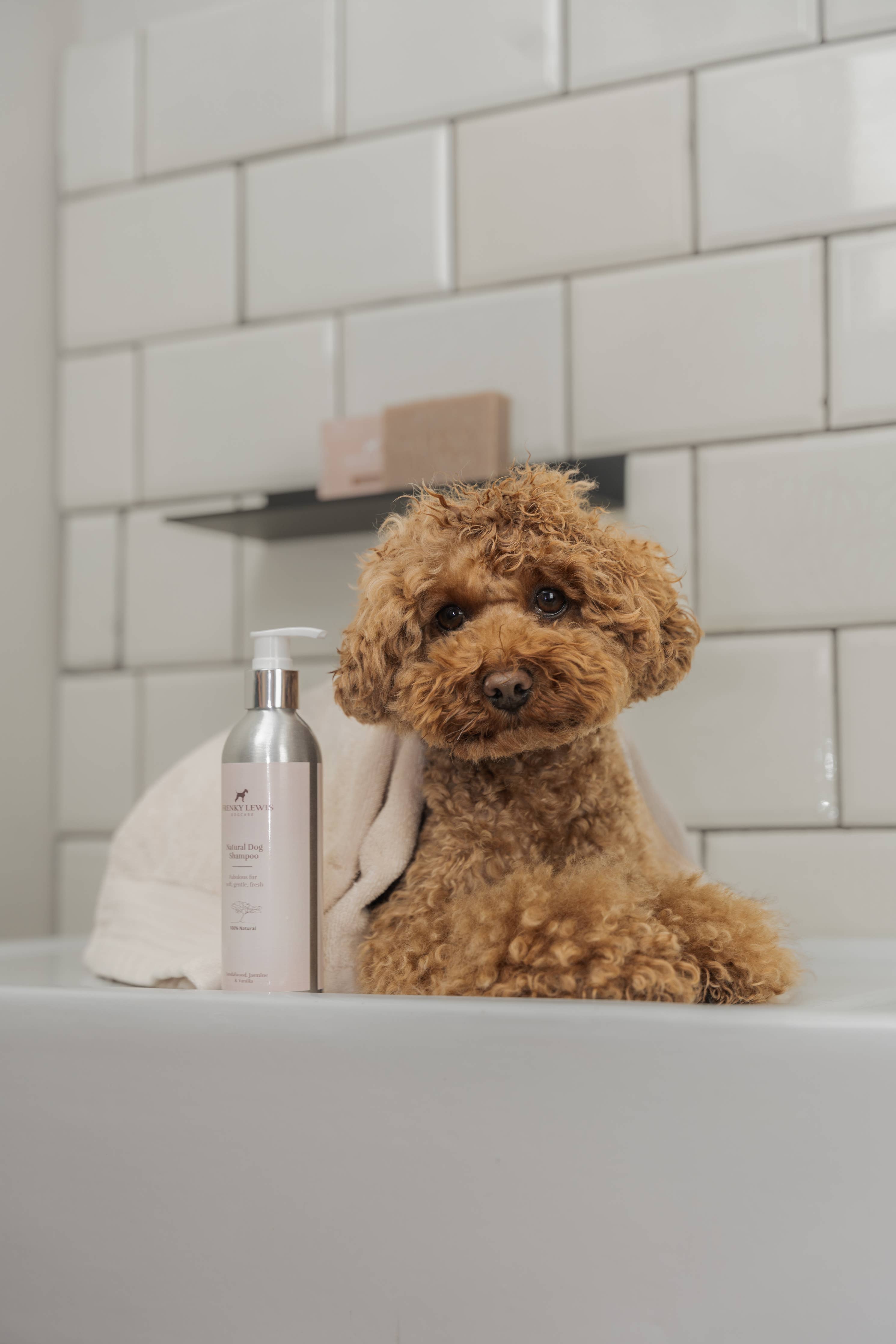 Natürliches Hundeshampoo - Weiße Rose & Lavendel