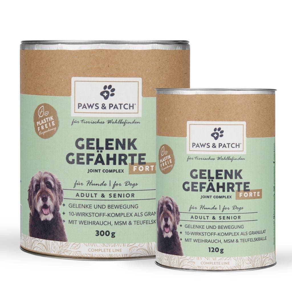 Gelenk Gefährten Forte für Adult & Senior