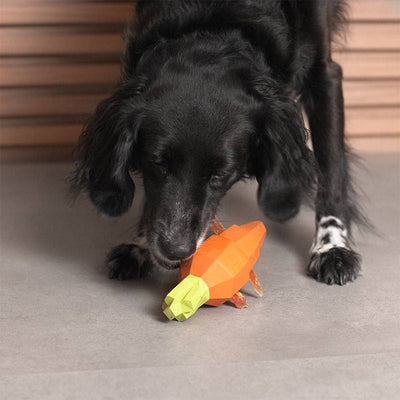 Schwarzer Langhaarhund mit Schlappohren, der mit einer Spielzeugkarotte aus Kautschuk spielt, die mit Leckerli gefüllt ist