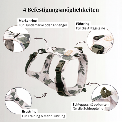 Hundegeschirr mit Halsöffnung Magnolia