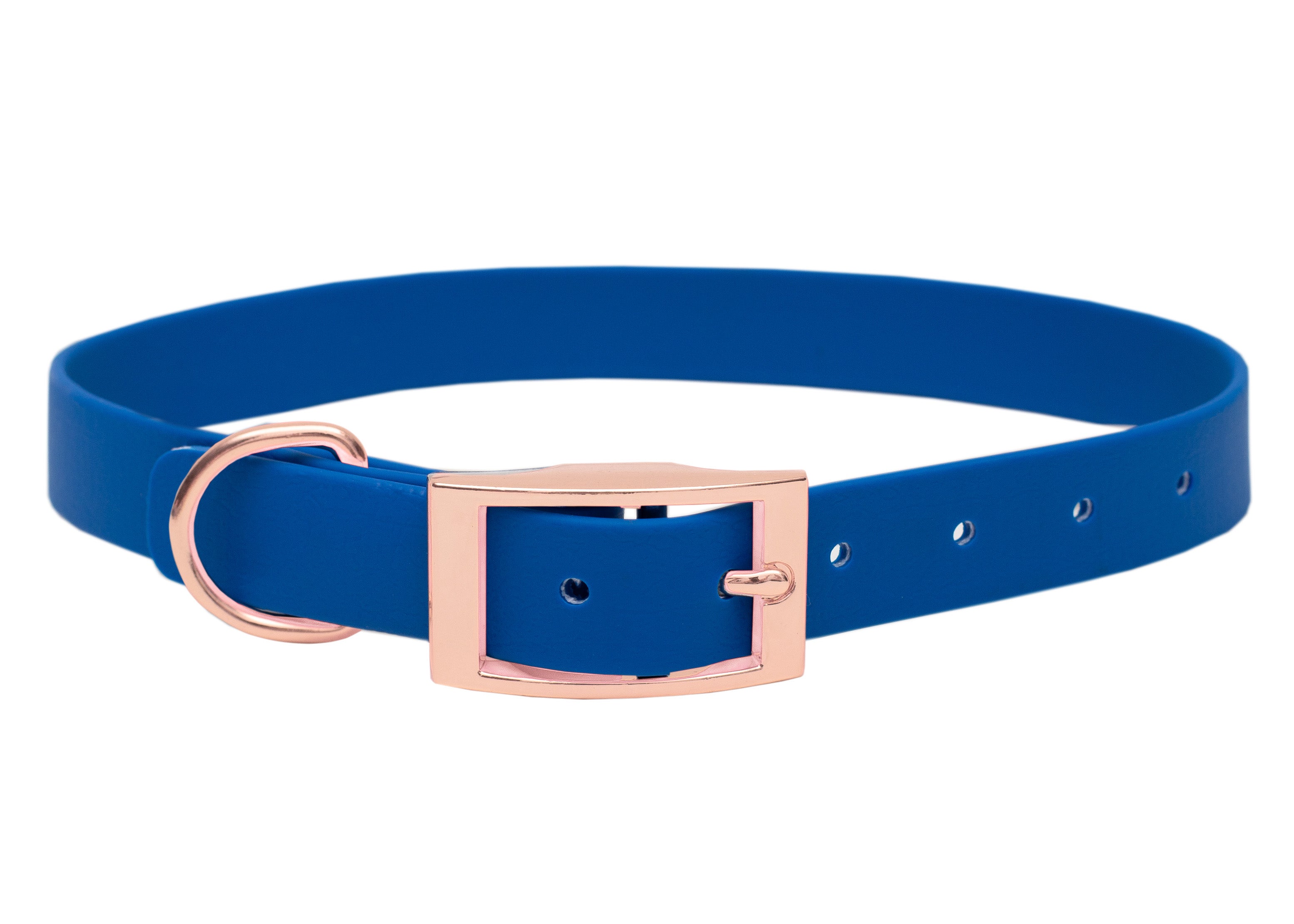 Biothane Halsband Pazifik
