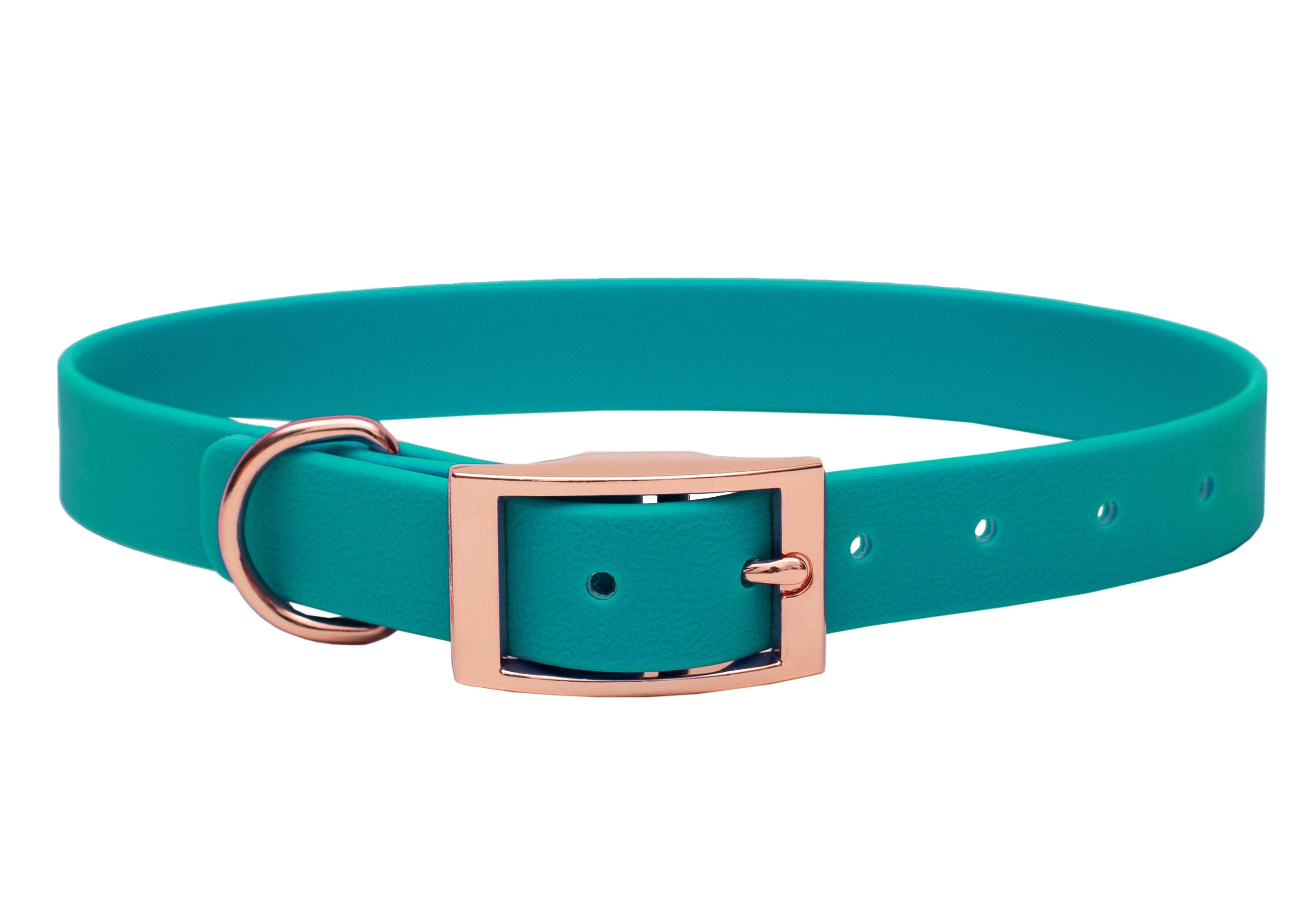 Biothane Halsband Türkis