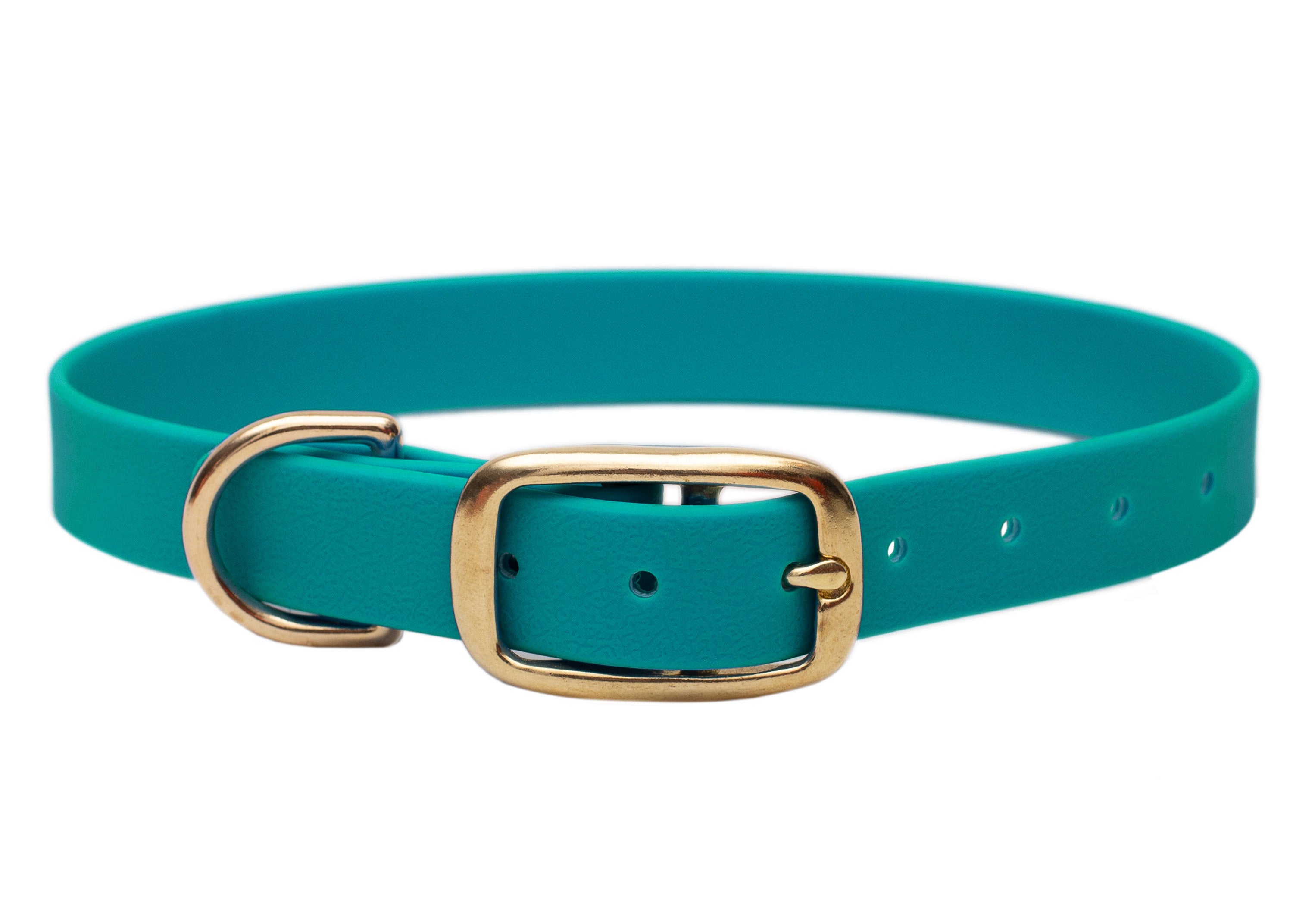 Biothane Halsband Türkis