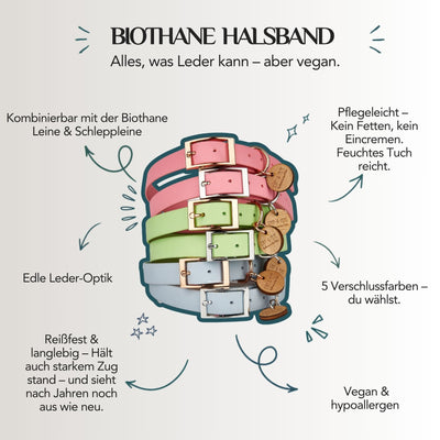 Infografik mit den Produkt-Vorteilen des Biothane Halsbands von EMMY & PEPE: 6 Größen von XS bis XXL, 5 Verschlussfarben, frei wählbare Breite, handgefertigt und kombinierbar mit passender Biothane Leine und Schleppleine.