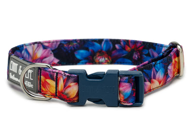 Florales buntes Hundehalsband. Das Halsband verfügt über eine robuste, blaue Steckschnalle mit „EMMY & PEPE“-Gravur sowie silbernem Metallring. Freigestellte Produktaufnahme auf weißem Hintergrund.