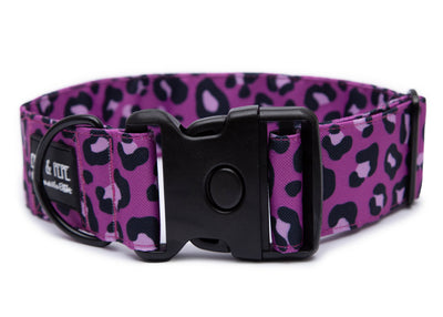 Fuchsiafarbenes Hundehalsband mit Leomuster aus Stoff mit schwarzem Kunststoff-Schnellverschluss und schwarzem Metallring zur Befestigung einer Leine. Das Halsband ist vor weißem Hintergrund fotografiert und zeigt eine breite, verstellbare Ausführung mit gepolsterter Innenseite. Auf einem kleinen Etikett am Ring ist ein Markenlogo zu erkennen.