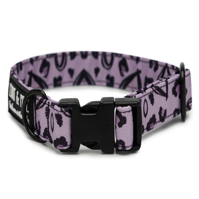 Lilafarbenes mit Herzen versehenes Hundehalsband. Das Halsband verfügt über eine robuste, schwarze Steckschnalle mit „EMMY & PEPE“-Gravur sowie schwarzem Metallring. Freigestellte Produktaufnahme auf weißem Hintergrund.