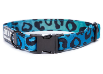Blaues Hundehalsband in Leomuster. Das Halsband verfügt über eine robuste, schwarzer Steckschnalle mit „EMMY & PEPE“-Gravur sowie schwarzem Metallring. Freigestellte Produktaufnahme auf weißem Hintergrund.