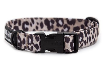 Hundehalsband in Leomuster. Das Halsband verfügt über eine robuste, schwarzer Steckschnalle mit „EMMY & PEPE“-Gravur sowie schwarzem Metallring. Freigestellte Produktaufnahme auf weißem Hintergrund.