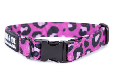 Fuchsiafarbenes Hundehalsband in Leomuster. Das Halsband verfügt über eine robuste, schwarzer Steckschnalle mit „EMMY & PEPE“-Gravur sowie schwarzem Metallring. Freigestellte Produktaufnahme auf weißem Hintergrund.
