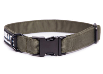 Olivefarbenes Hundehalsband. Das Halsband verfügt über eine robuste, schwarzer Steckschnalle mit „EMMY & PEPE“-Gravur sowie schwarzem Metallring. Freigestellte Produktaufnahme auf weißem Hintergrund.