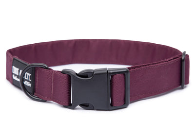 Weinrotes Hundehalsband. Das Halsband verfügt über eine robuste, schwarzer Steckschnalle mit „EMMY & PEPE“-Gravur sowie schwarzem Metallring. Freigestellte Produktaufnahme auf weißem Hintergrund.