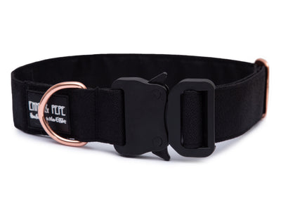 Schwarzes Hundehalsband aus Stoff mit schwarzem Kunststoff-Sicherheitsverschluss und rosegoldenem Metallring zur Befestigung einer Leine. Das Halsband ist vor weißem Hintergrund fotografiert und zeigt eine breite, verstellbare Ausführung mit gepolsterter Innenseite. Auf einem kleinen Etikett am Ring ist ein Markenlogo zu erkennen.
