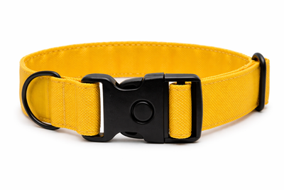 Gelbes Hundehalsband aus Stoff mit schwarzem Kunststoff-Schnellverschluss und schwarzem Metallring zur Befestigung einer Leine. Das Halsband ist vor weißem Hintergrund fotografiert und zeigt eine breite, verstellbare Ausführung mit gepolsterter Innenseite. Auf einem kleinen Etikett am Ring ist ein Markenlogo zu erkennen.