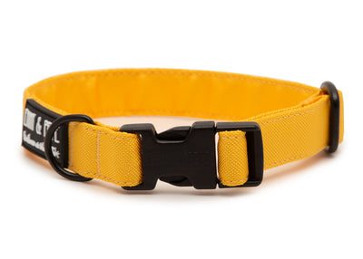 Gelbes Hundehalsband. Das Halsband verfügt über eine robuste, schwarze Steckschnalle mit „EMMY & PEPE“-Gravur sowie schwarzem Metallring. Freigestellte Produktaufnahme auf weißem Hintergrund.