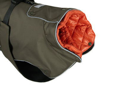 Kragen des Wau-Coat Hundemantel mit herausnehmbarem Innenfutter – 2-in-1 Regen- und Wintermantel für Hunde in Olive
