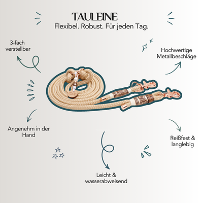 Tauleine Waussoni