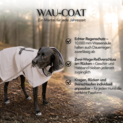 Wasserdichter Hundemantel für Regen und Winter – Wau-Coat mit 10.000 mm Wassersäule im Alltagseinsatz