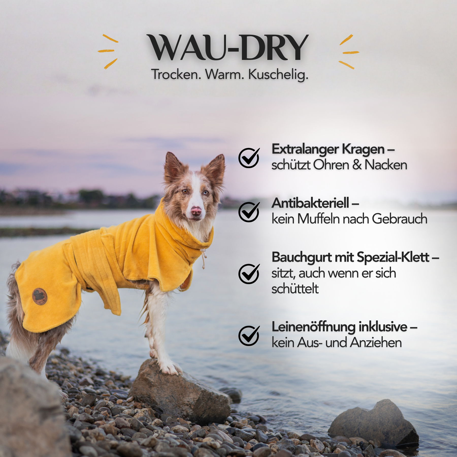 Dog bathrobe made of bamboo fiber, rose