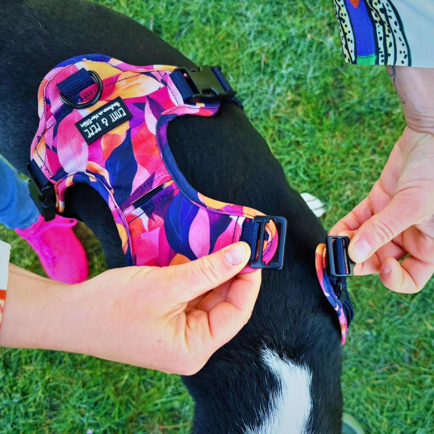 Wau-Move Hundegeschirr in Pink wird geöffnet angelegt — keine Bewegung über den Kopf nötig