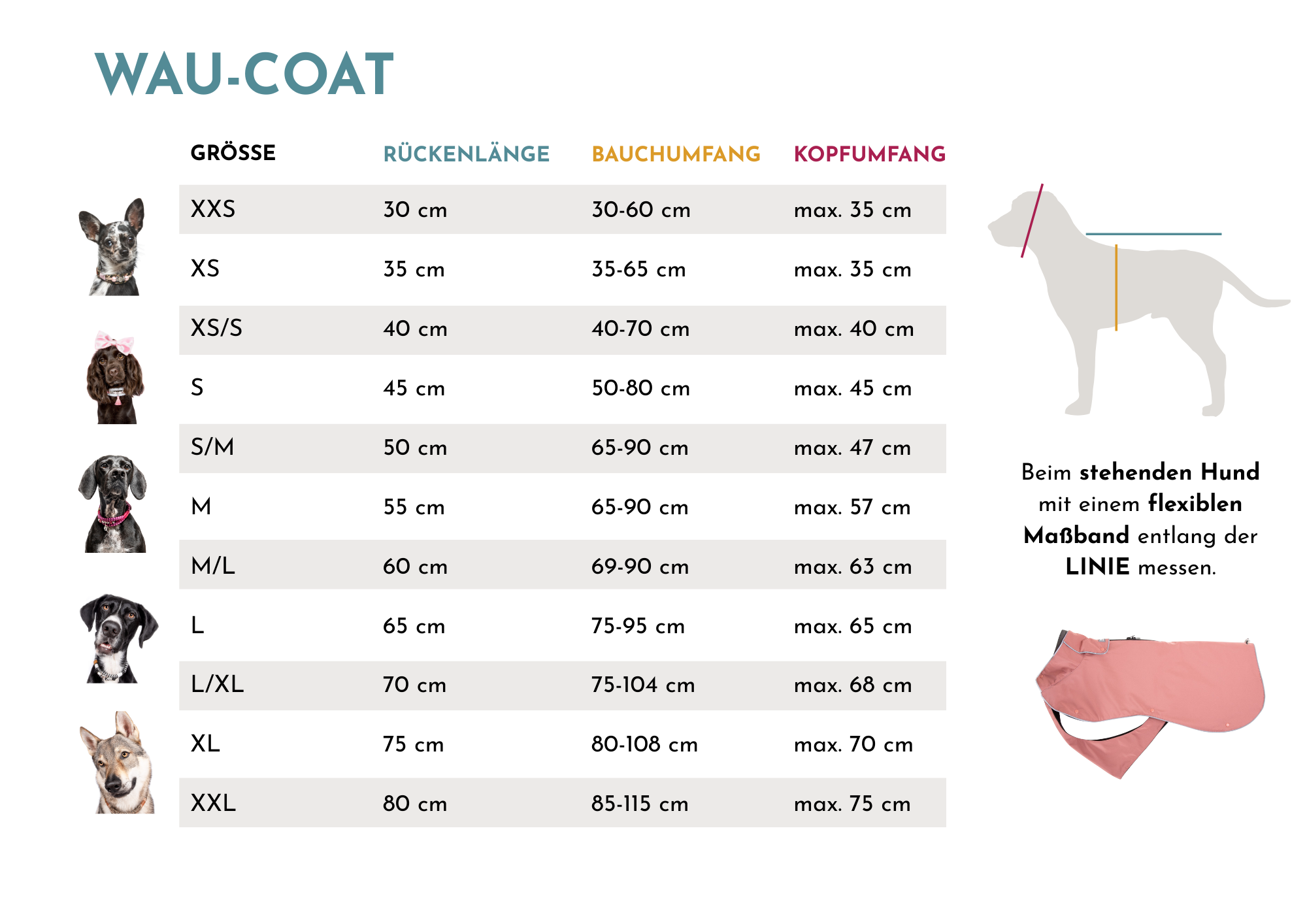 Wau-Coat Größentabelle für Hunde mit Angaben zu Rückenlänge, Bauchumfang und Kopfumfang von XXS bis XXL