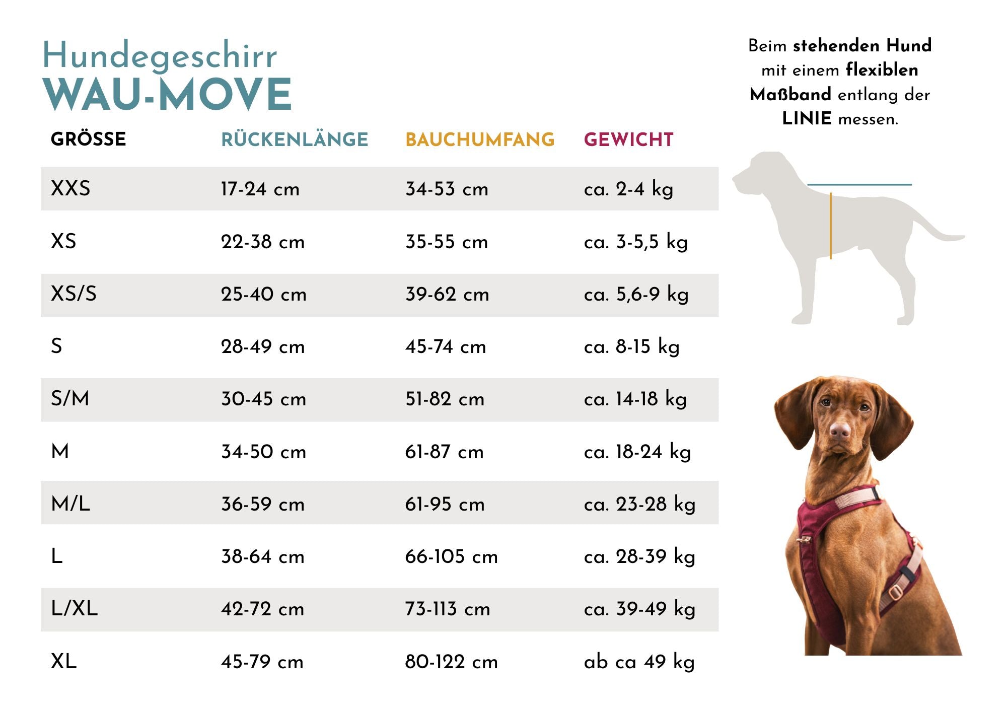 Hundegeschirr Lotte 2.0