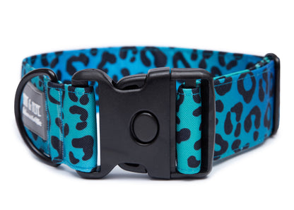 Hundehalsband Leo Aqua