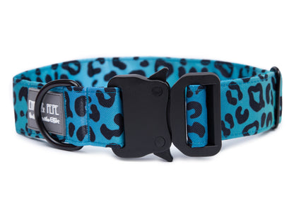 Hundehalsband Leo Aqua
