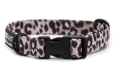 Hundehalsband Leo Dark