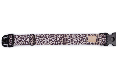 Hundehalsband Leo Dark