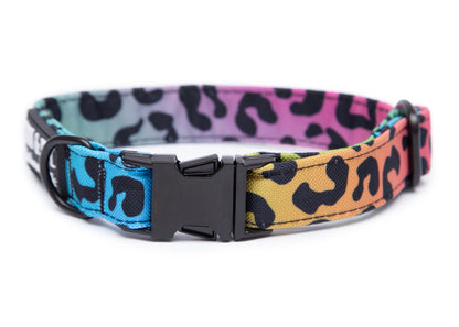 Hundehalsband Leo Neo