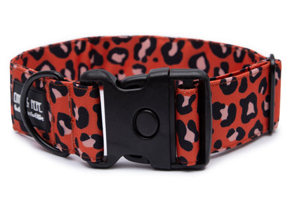 Hundehalsband Leo Orange