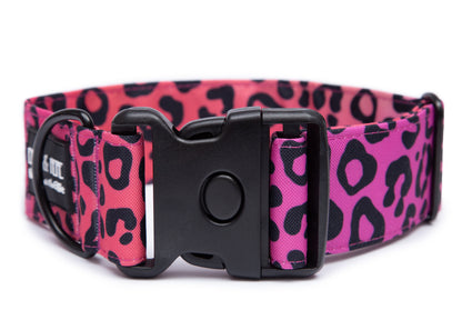 Hundehalsband Leo Pink