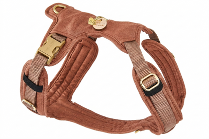 Hundegeschirr Cinnamon