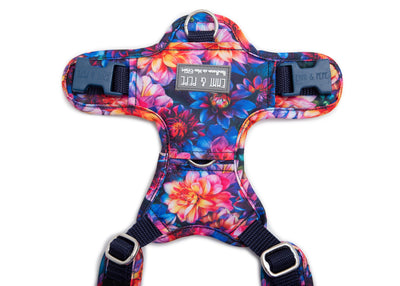 Dahlia dog harness