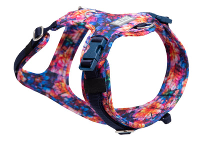 Dahlia dog harness